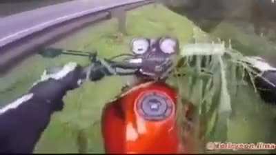 Well, at least he survived
