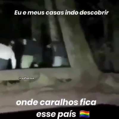 Oxe