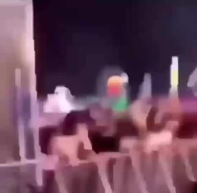 aquela m&uacute;sica da vaca s&oacute; que acelerada