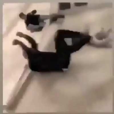 three happy bros dancing limbo