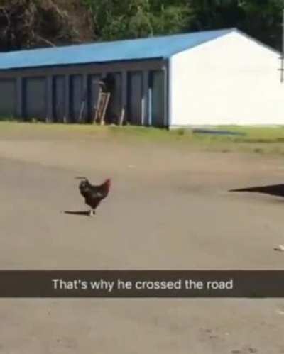 An old question answered.