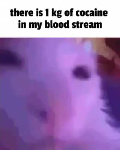 Cockaine