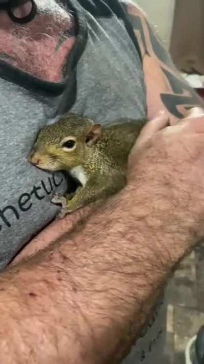 Probably the cutest video I have in my phone (: my dad holding our sleepy rescue, Willow