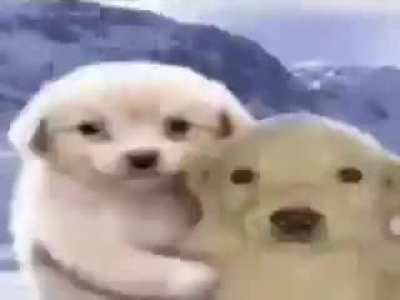 Friens