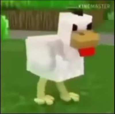 COCKS