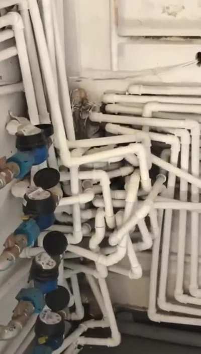 Dont know whether to be impressed or to be angry
