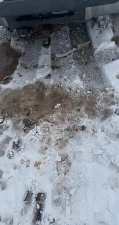 Big Iron on his hip (Credit: cowpunchincausey on tiktok)