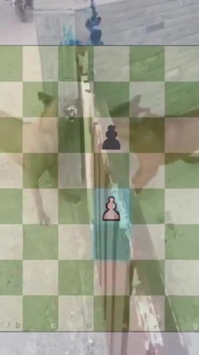 Pawns in chess