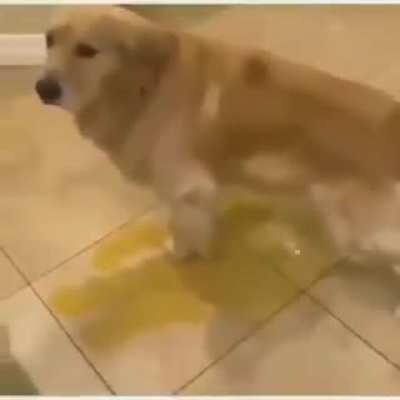 CHAD