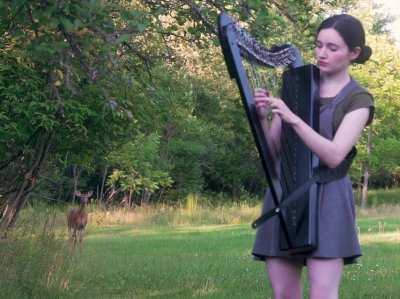 Harp session attracts a wild deer