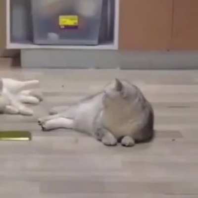 😳