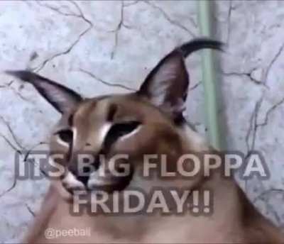 Frydai