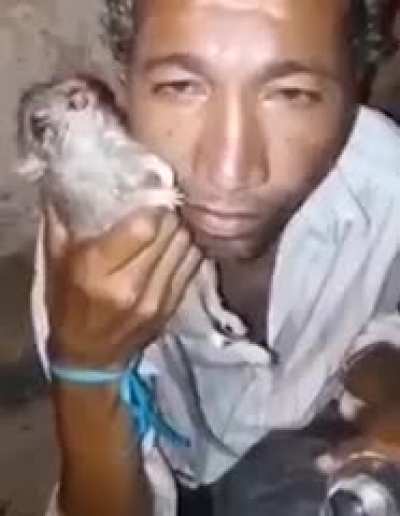 Ratatouille, is that you?