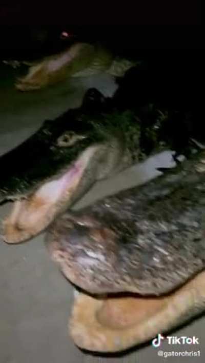 monkaW