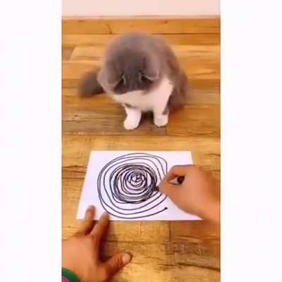 it makes her dizzy