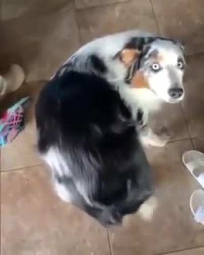 Quick..scratch butt..no time to explain..