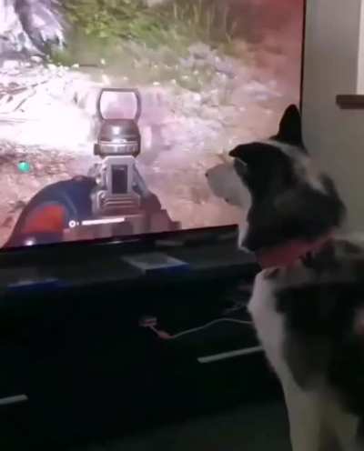 "I... I can explain"