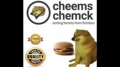 A compilation of funny yellow dog memes