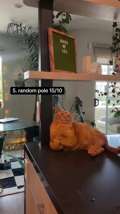 The leaning boy