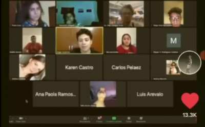 Las clases en l&iacute;nea llegan a ser muy surrealistas