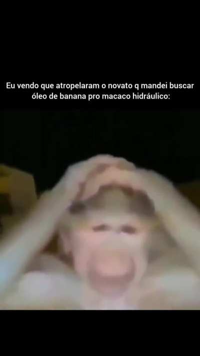 T&Atilde;O JOVEM...