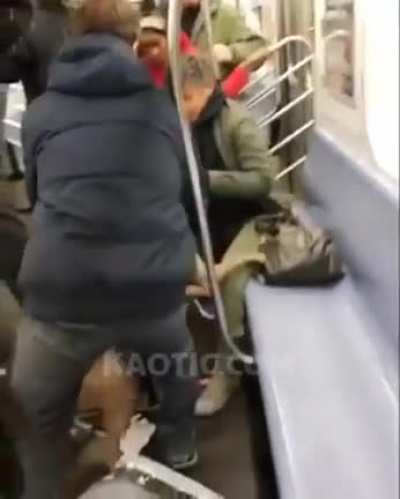 "Service Animal" Bites Woman on the Train