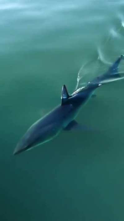 Slicing through the surface