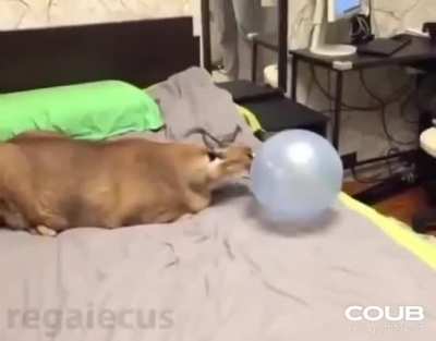Неожиданно