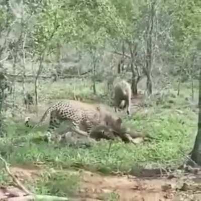 Элегантно ушел по вертикали