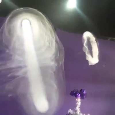 Vortex dynamics as demonstrated by a cloud chaser