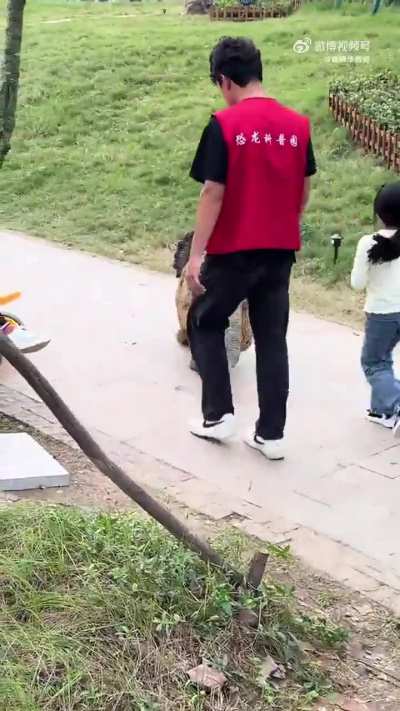 Jurassic Park China