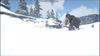 ARK Age (Big oops moment at the end)