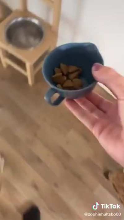 Watch this dog die inside