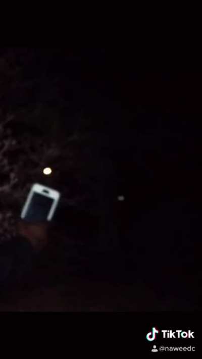 Exploring Haunted Forest