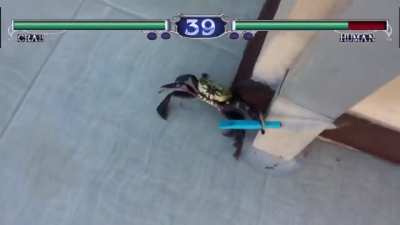 crabphael
