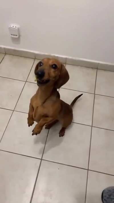 Instant regret! 🤣🤣 
