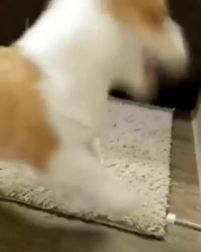 touch tha spring