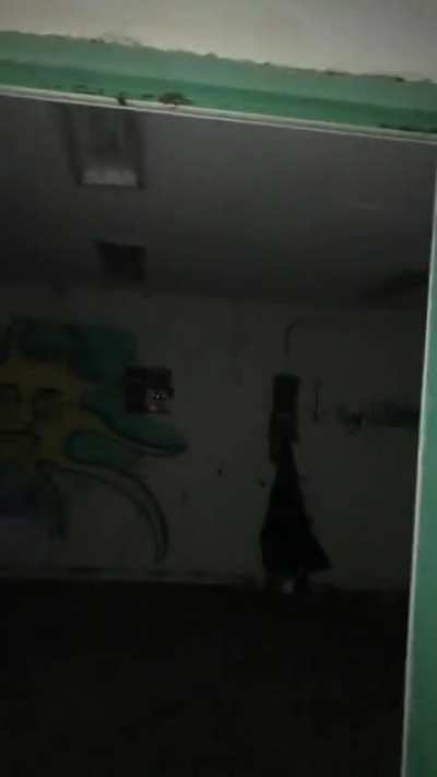 Bat Sightings
