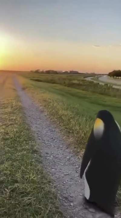 sunrise got bro speechless