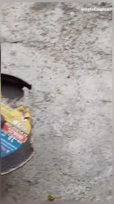 BeelcitosMemes - Video #4314