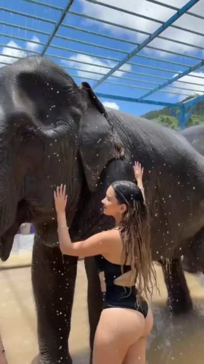 No mames que culazo