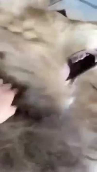 hmm