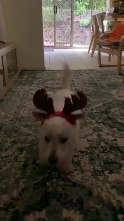 Flashback to Daisy&rsquo;s outfit last Christmas