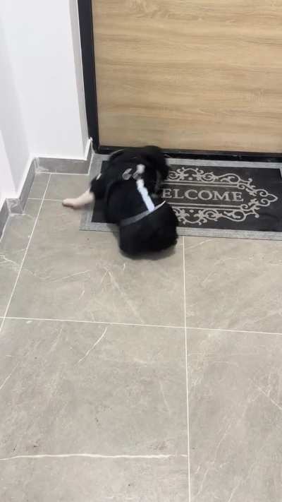 Joey everytime after he enters the building and it is warm!