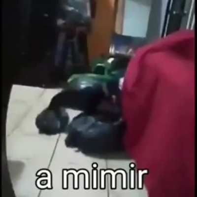 a mimir