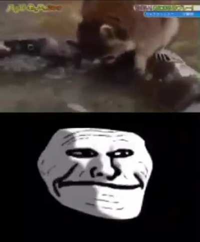 :(