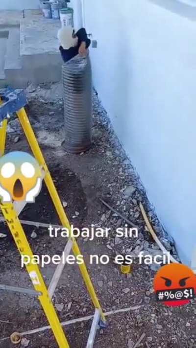 Orslok peruano