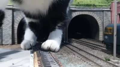 I choo-choo-choose you