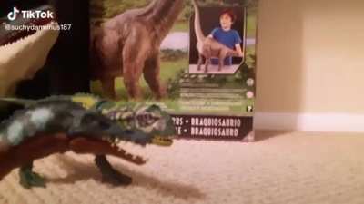 64 million BC