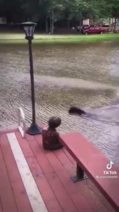 &ldquo;Dad! Dad! I will save you don&rsquo;t worry!&rdquo;
